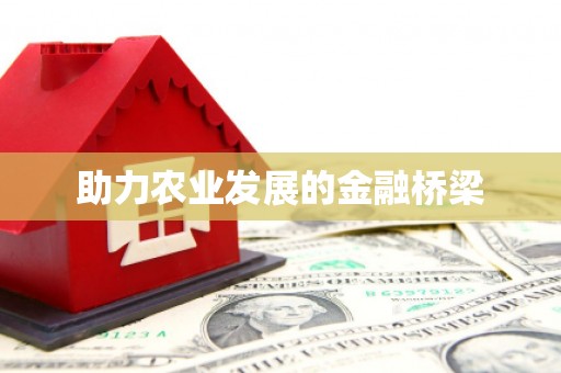大园助力农业发展的金融桥梁