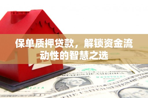 大园保单质押贷款，解锁资金流动性的智慧之选