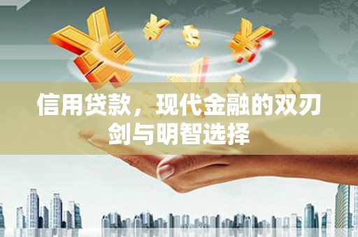 大园信用贷款，现代金融的双刃剑与明智选择