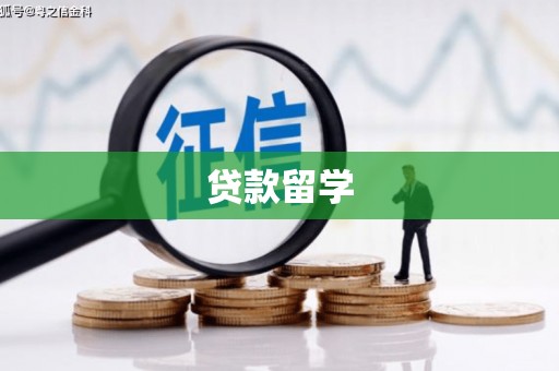 大园贷款留学