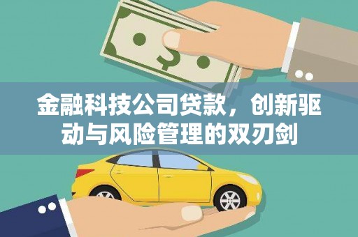 大园金融科技公司贷款，创新驱动与风险管理的双刃剑
